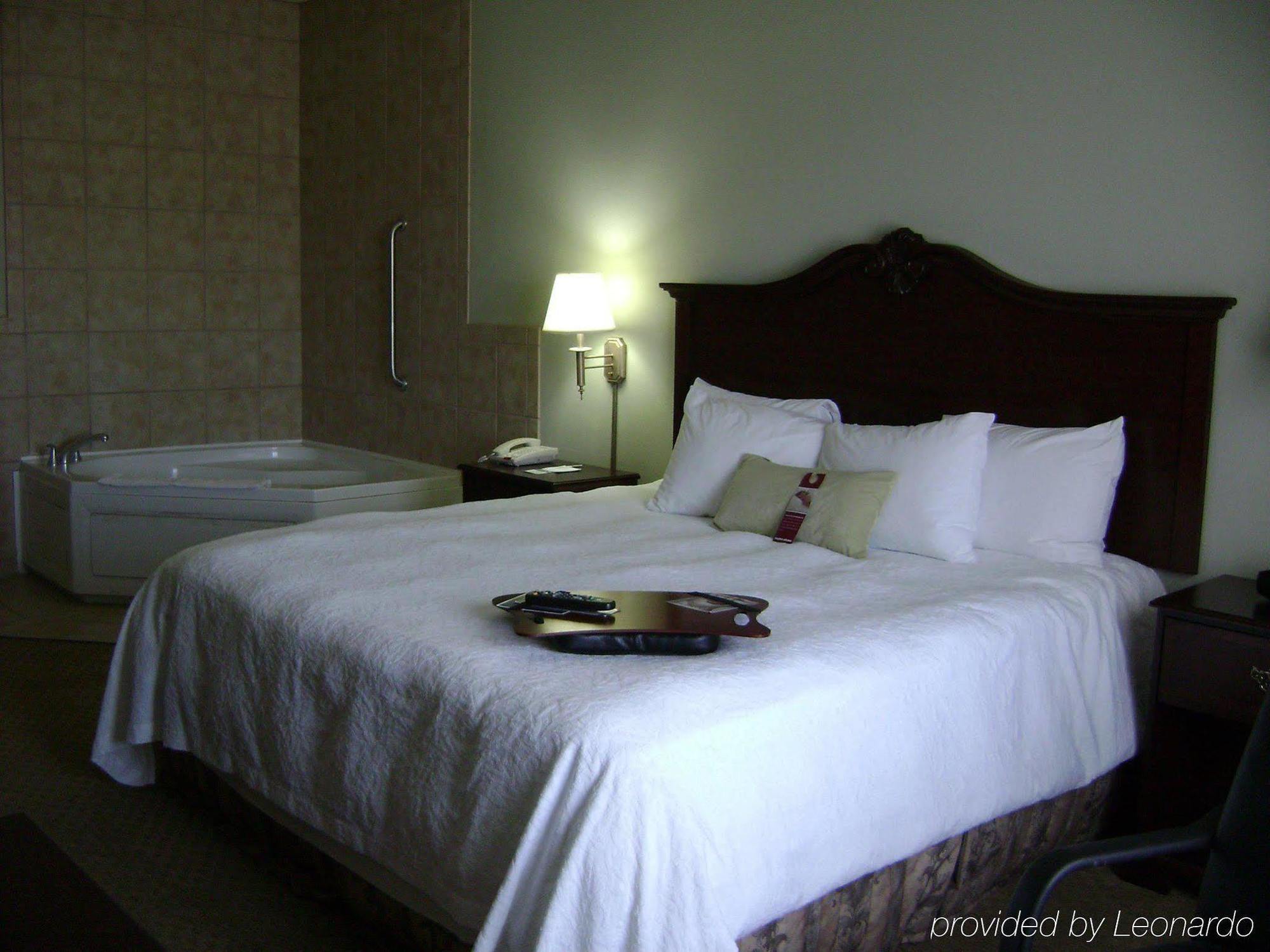 Hampton Inn Fort Stockton Oda fotoğraf